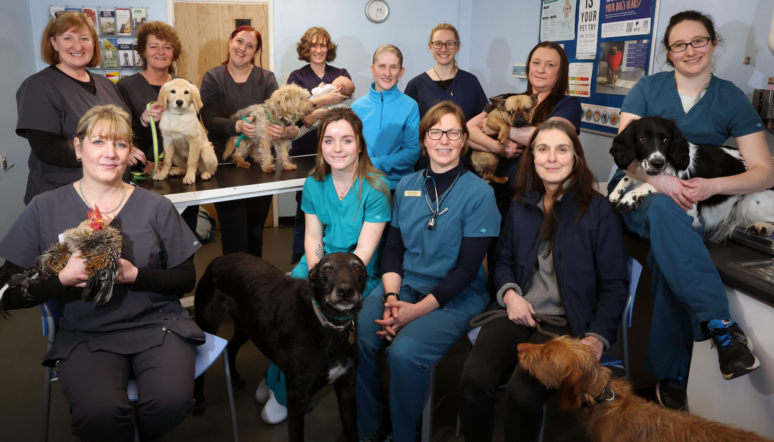 Archway Vets builds a paws-itive future under employee ownership
