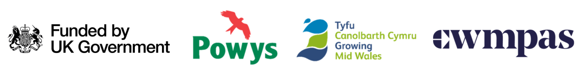 Digital Confidence Powys logo block