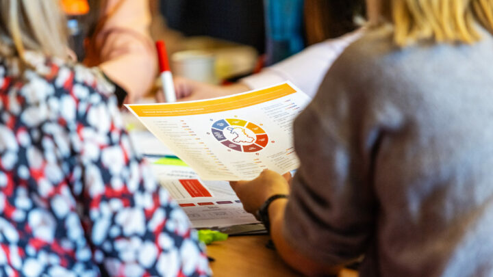 Project Evaluation Case Studies