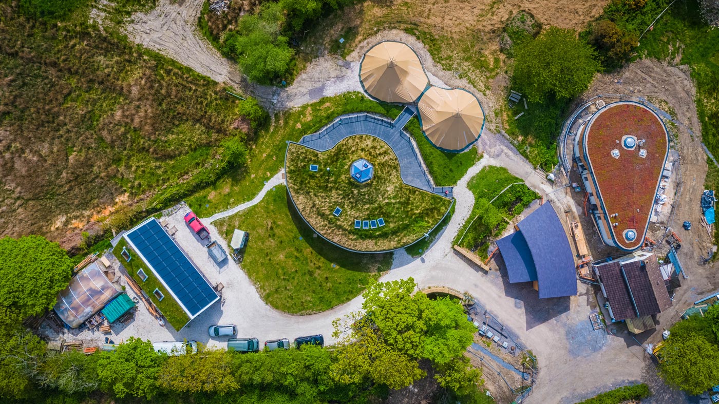 Celebrating Social Enterprise Day 2025: Building a better future with Down to Earth